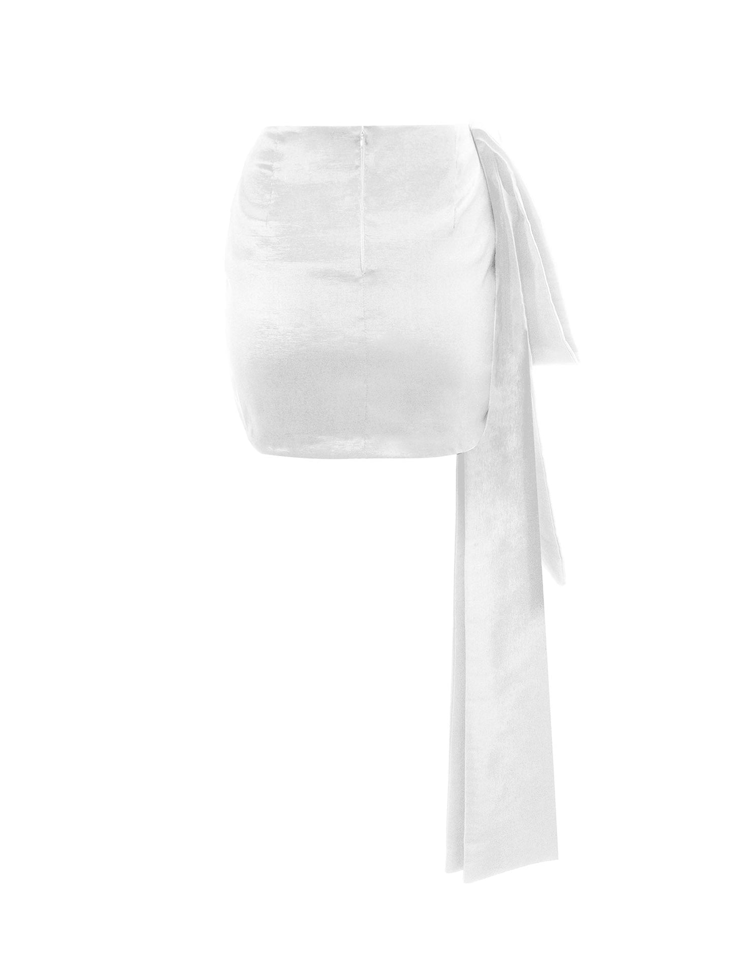 Taffita Skirt